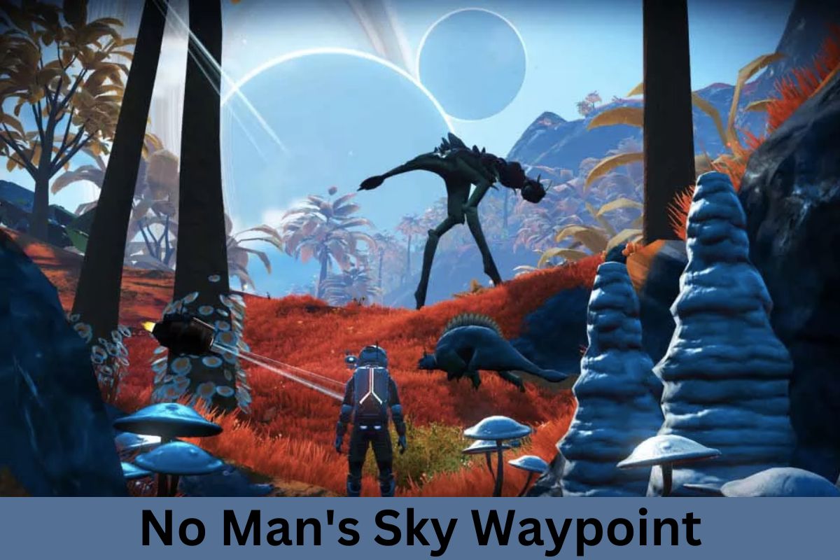 No Man's Sky Waypoint