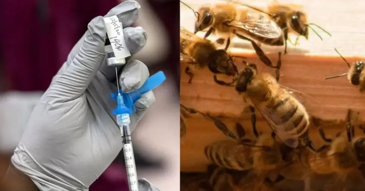 World's First Vaccine For Honeybees Approved In US